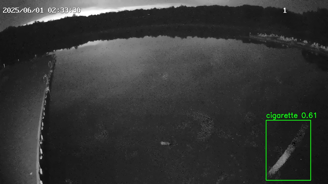 Фото детекции