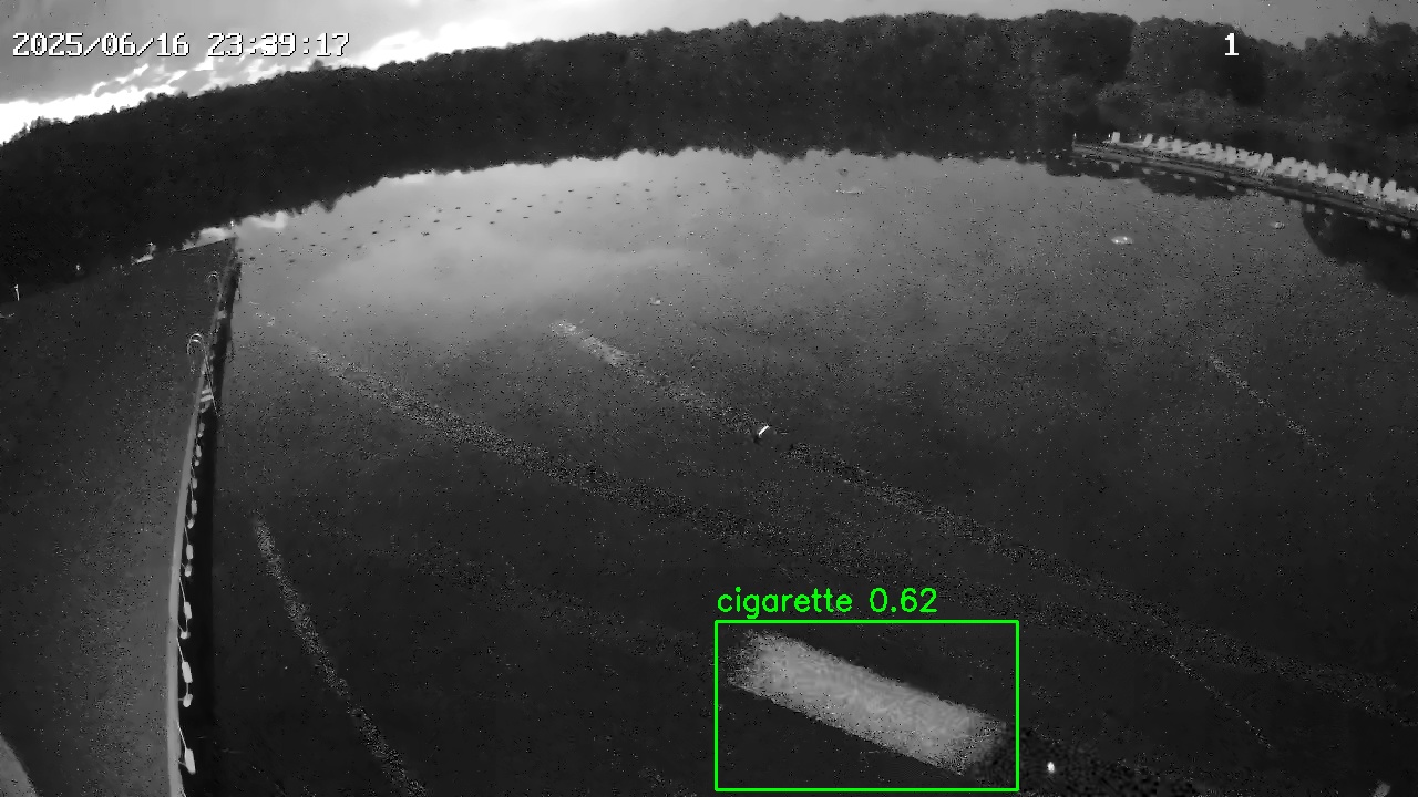 Фото детекции