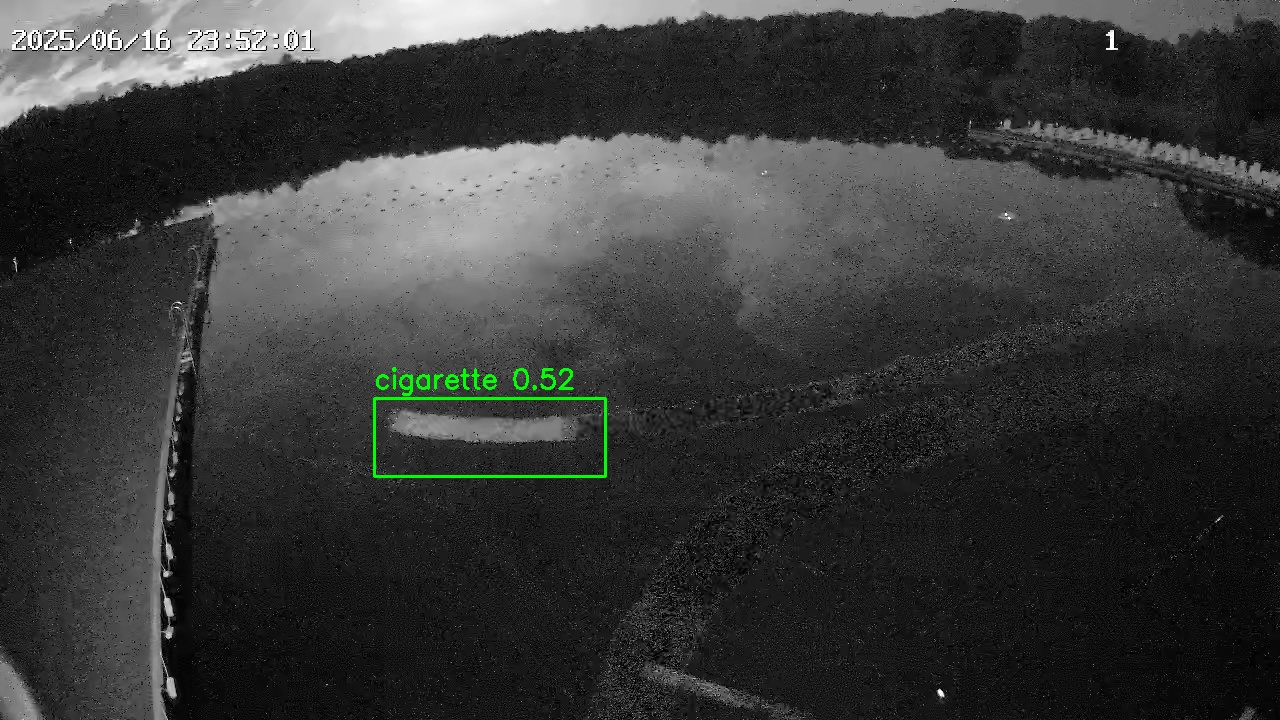 Фото детекции