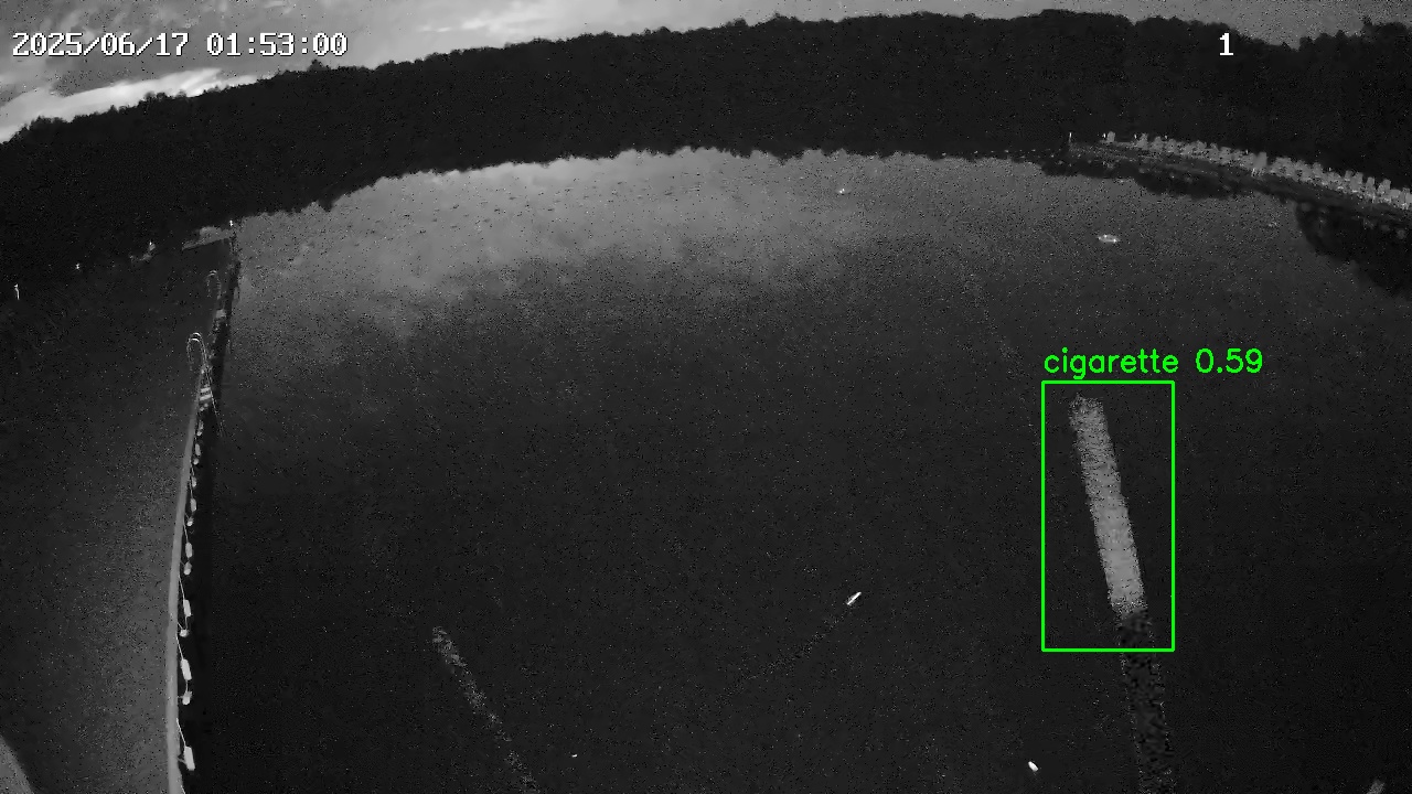 Фото детекции