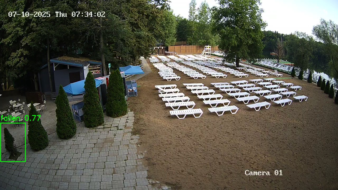 Фото детекции