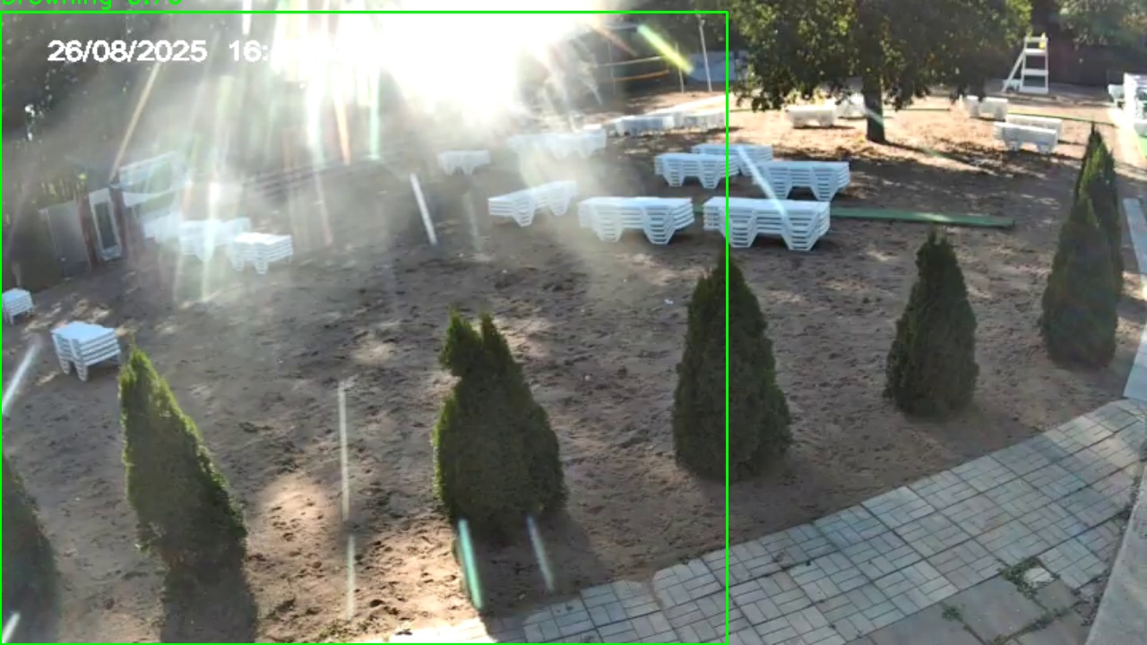 Фото детекции