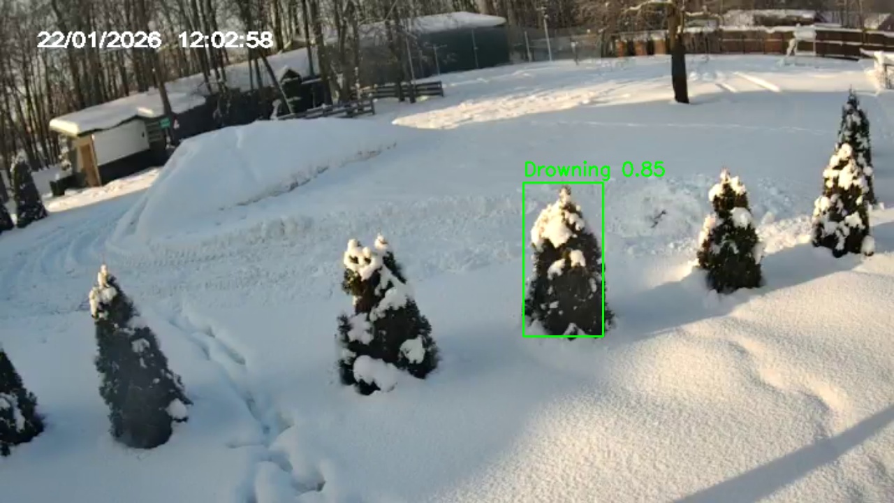 Фото детекции