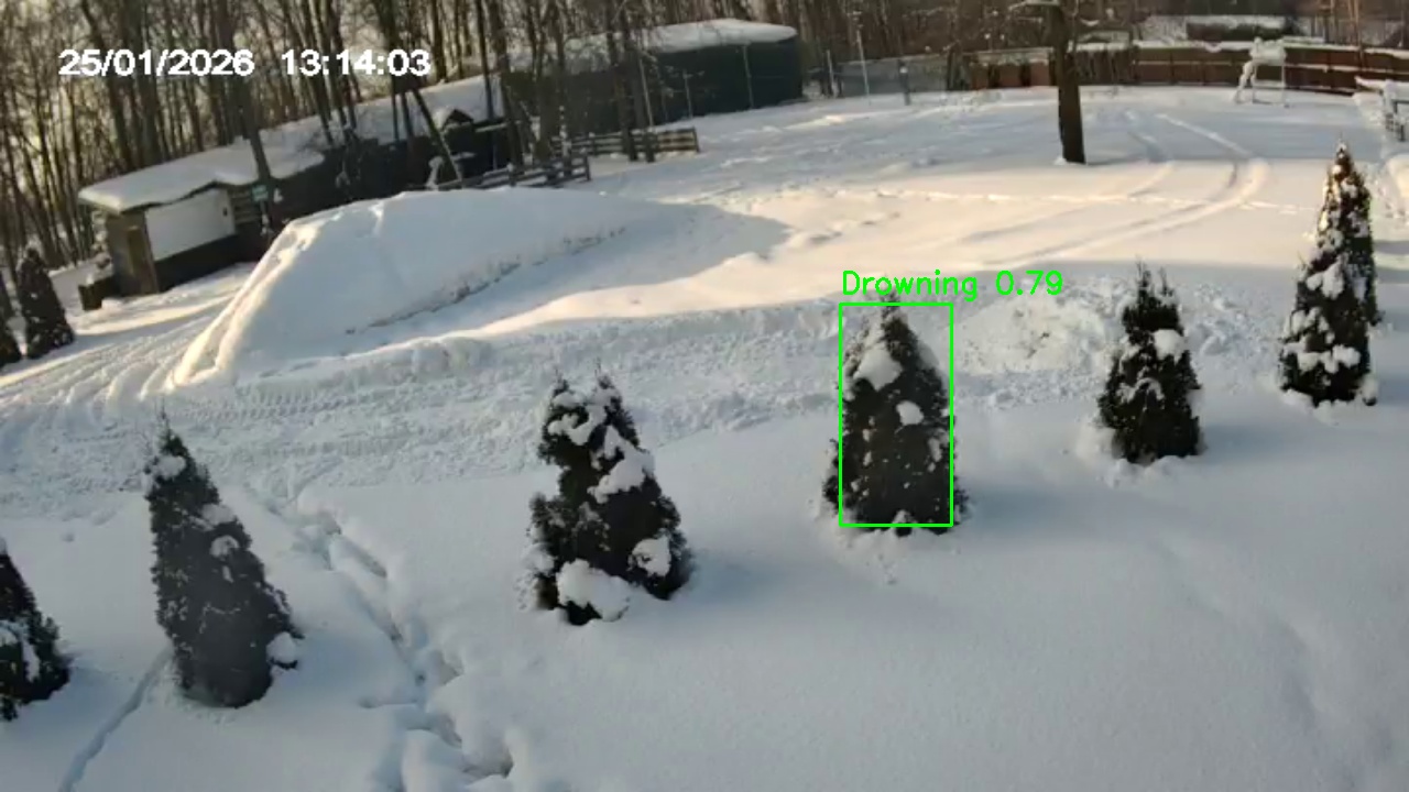 Фото детекции